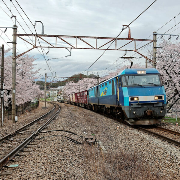 Factors to consider when picking a travel destination